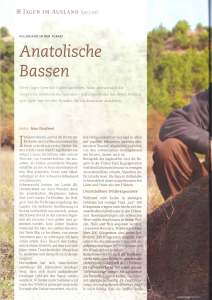 JAMG Anatolische Bassen UJ_Seite_1