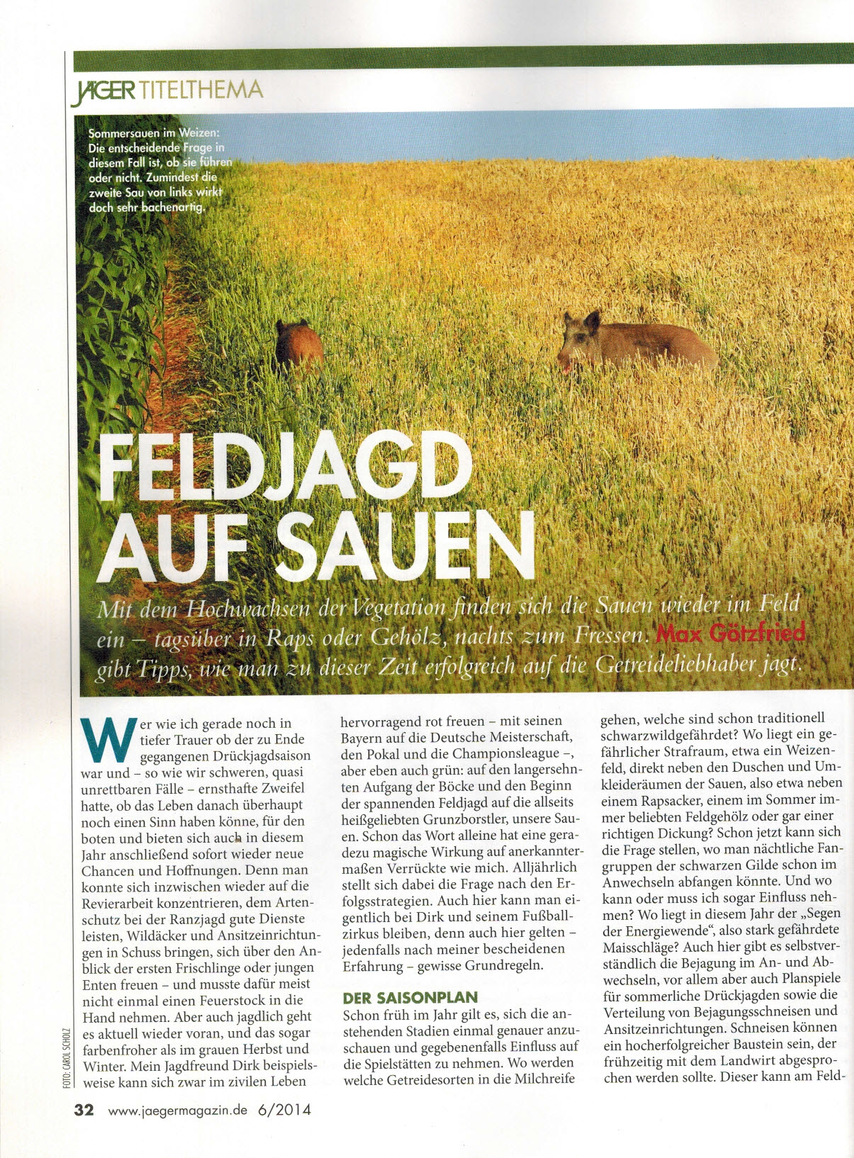 Artikel im Jäger: Feldjagd auf Sauen