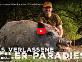 Das verlassene Keiler-Paradies